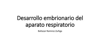 Desarrollo embrionario del
aparato respiratorio
Baltazar Ramirez Zuñiga
 