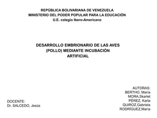 REPÚBLICA BOLIVARIANA DE VENEZUELA
           MINISTERIO DEL PODER POPULAR PARA LA EDUCACIÓN
                       U.E. colegio Ibero-Americano




               DESARROLLO EMBRIONARIO DE LAS AVES
                   (POLLO) MEDIANTE INCUBACIÓN
                            ARTIFICIAL




                                                            AUTORAS:
                                                        BERTHO, María
                                                         MORA,Skarlet
DOCENTE:                                                  PÉREZ, Karla
Dr. SALCEDO, Jesús                                     QUIROZ,Gabriela
                                                      RODRÍGUEZ,María
 
