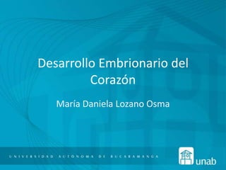 Desarrollo Embrionario del
         Corazón
   María Daniela Lozano Osma
 