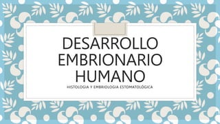 DESARROLLO
EMBRIONARIO
HUMANO
HISTOLOGIA Y EMBRIOLOGIA ESTOMATOLÓGICA
 