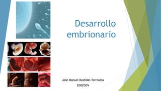 Desarrollo
embrionario
José Manuel Bastidas Torrealba
ED02DOV
 