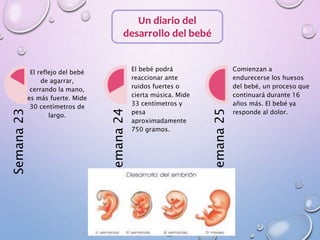 Un diario del
desarrollo del bebé
Semana23
El reflejo del bebé
de agarrar,
cerrando la mano,
es más fuerte. Mide
30 centímetros de
largo.
Semana24
El bebé podrá
reaccionar ante
ruidos fuertes o
cierta música. Mide
33 centímetros y
pesa
aproximadamente
750 gramos.
Semana25
Comienzan a
endurecerse los huesos
del bebé, un proceso que
continuará durante 16
años más. El bebé ya
responde al dolor.
 