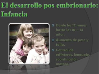 Desarrollo embrionario BIOLOGIA