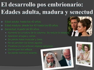 Desarrollo embrionario BIOLOGIA