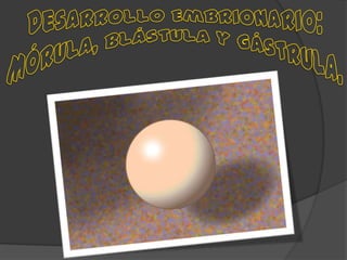Desarrollo embrionario BIOLOGIA