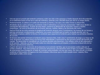 •   Una vez que el corazón del embrión comienza a latir, tan sólo a dos semanas y media después de la fecundación,
    no se detendrá hasta el final de la vida del individuo, latiendo unas 100.000 veces por día en su etapa adulta.
•   Posteriormente, la cabeza y el cuello van tomando su forma, y los ojos y los oídos inician su desarrollo.
•   Alrededor de las cuatro semanas, el embrión mide 5 milímetros y su masa ha aumentado 7.000 veces desde su
    concepción (fecundación). A partir de esta etapa, comienza el desarrollo de músculos, huesos y tejidos
    conjuntivos. Se inicia la formación de los brazos, piernas, rodillas, dedos y las facciones del rostro.
•   Hacia el final de las ocho semanas la longitud del embrión alcanza unos 3 centímetros, los huesos de sus brazos y
    piernas comienzan a endurecerse y adquieren una suave movilidad que la madre no puede percibir aún. La
    mandíbula empieza a definir la forma y la condición que capacitará al embrión para realizar sus primeros intentos
    de succión.
•   Al término del primer trimestre el embrión pasa a llamarse feto, mide unos 7 centímetros de largo y su masa es de
    unos 20 gramos. Su cabeza toma una forma más redondeada y representa las dos terceras partes del tamaño del
    cuerpo. Se desarrollan la mandíbula con 32 yemas dentales permanentes, y los reflejos como el del sobresalto y
    el de succión. Además, se han formado todos los sistemas orgánicos principales y comienza el desarrollo de los
    órganos reproductores externos.
•   A partir del tercer mes, la función de la placenta es la nutrición del feto, que se encuentra unido a ella por el
    cordón umbilical. Hay intercambios de sustancias alimenticias y de desechos entre el feto y la madre, y traspaso
    de anticuerpos que protegerán al bebé de contraer enfermedades una vez que nazca. Por este vínculo, el cordón
    umbilical, el feto puede contagiarse de enfermedades infecciosas que la madre puede tener: rubéola, tifus,
    sarampión y SIDA, entre otras.
 