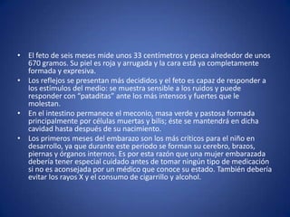 • El feto de seis meses mide unos 33 centímetros y pesca alrededor de unos
  670 gramos. Su piel es roja y arrugada y la cara está ya completamente
  formada y expresiva.
• Los reflejos se presentan más decididos y el feto es capaz de responder a
  los estímulos del medio: se muestra sensible a los ruidos y puede
  responder con “pataditas” ante los más intensos y fuertes que le
  molestan.
• En el intestino permanece el meconio, masa verde y pastosa formada
  principalmente por células muertas y bilis; éste se mantendrá en dicha
  cavidad hasta después de su nacimiento.
• Los primeros meses del embarazo son los más críticos para el niño en
  desarrollo, ya que durante este periodo se forman su cerebro, brazos,
  piernas y órganos internos. Es por esta razón que una mujer embarazada
  debería tener especial cuidado antes de tomar ningún tipo de medicación
  si no es aconsejada por un médico que conoce su estado. También debería
  evitar los rayos X y el consumo de cigarrillo y alcohol.
 