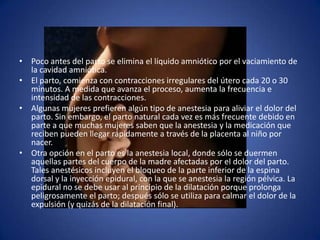 • Poco antes del parto se elimina el líquido amniótico por el vaciamiento de
  la cavidad amniótica.
• El parto, comienza con contracciones irregulares del útero cada 20 o 30
  minutos. A medida que avanza el proceso, aumenta la frecuencia e
  intensidad de las contracciones.
• Algunas mujeres prefieren algún tipo de anestesia para aliviar el dolor del
  parto. Sin embargo, el parto natural cada vez es más frecuente debido en
  parte a que muchas mujeres saben que la anestesia y la medicación que
  reciben pueden llegar rápidamente a través de la placenta al niño por
  nacer.
• Otra opción en el parto es la anestesia local, donde sólo se duermen
  aquellas partes del cuerpo de la madre afectadas por el dolor del parto.
  Tales anestésicos incluyen el bloqueo de la parte inferior de la espina
  dorsal y la inyección epidural, con la que se anestesia la región pélvica. La
  epidural no se debe usar al principio de la dilatación porque prolonga
  peligrosamente el parto; después sólo se utiliza para calmar el dolor de la
  expulsión (y quizás de la dilatación final).
 