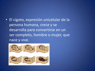• El cigoto, expresión unicelular de la
  persona humana, crece y se
  desarrolla para convertirse en un
  ser completo, hombre o mujer, que
  nace y vive.
 