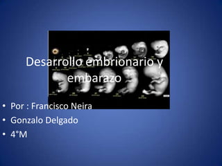 Desarrollo embrionario y
            embarazo
• Por : Francisco Neira
• Gonzalo Delgado
• 4°M
 