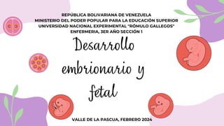 Desarrollo
embrionario y
fetal
REPÚBLICA BOLIVARIANA DE VENEZUELA
MINISTERIO DEL PODER POPULAR PARA LA EDUCACIÓN SUPERIOR
UNIVERSIDAD NACIONAL EXPERIMENTAL "RÓMULO GALLEGOS"
ENFERMERIA, 3ER AÑO SECCIÓN 1
VALLE DE LA PASCUA, FEBRERO 2024
 
