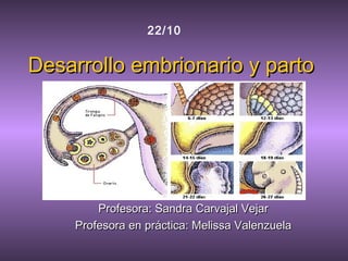 22/10


Desarrollo embrionario y parto




        Profesora: Sandra Carvajal Vejar
    Profesora en práctica: Melissa Valenzuela
 