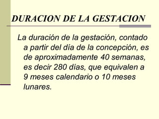 DURACION DE LA GESTACION
La duración de la gestación, contado
a partir del día de la concepción, es
de aproximadamente 40 semanas,
es decir 280 días, que equivalen a
9 meses calendario o 10 meses
lunares.
 