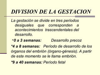 DIVISION DE LA GESTACION
La gestación se divide en tres períodos
desiguales que corresponden a
acontecimientos trascendentales del
desarrollo.
*0 a 3 semanas: Desarrollo precoz
*4 a 8 semanas: Período de desarrollo de los
órganos del embrión (órgano-génesis). A partir
de este momento se le llama embrión.
*9 a 40 semanas: Período fetal
 
