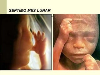 SEPTIMO MES LUNAR
 