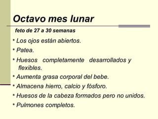 Octavo mes lunar
feto de 27 a 30 semanas
* Los ojos están abiertos.
* Patea.
* Huesos completamente desarrollados y
flexibles.
* Aumenta grasa corporal del bebe.
* Almacena hierro, calcio y fósforo.
* Huesos de la cabeza formados pero no unidos.
* Pulmones completos.
 