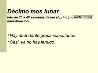 Décimo mes lunar
feto de 35 a 40 semanas desde el principio de la ultima
menstruación
*Hay abundante grasa subcutánea.
*Casi ya no hay lanugo.
 