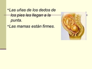 *Las uñas de los dedos de
los pies les llegan a la
punta.
*Las mamas están firmes.
 