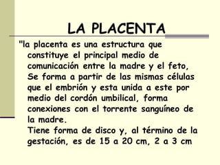 LA PLACENTA
"la placenta es una estructura que
constituye el principal medio de
comunicación entre la madre y el feto,
Se forma a partir de las mismas células
que el embrión y esta unida a este por
medio del cordón umbilical, forma
conexiones con el torrente sanguíneo de
la madre.
Tiene forma de disco y, al término de la
gestación, es de 15 a 20 cm, 2 a 3 cm
 