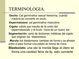 TERMINOLOGIA.
Oocito: Cel germinativa sexual femenina, cuando
madura se convierte en óvulo.
Espermatozoo: cel germinativa masculina.
Cigoto: célula que resulta de la unión del
espermatozoide y el óvulo. Inicio de un nuevo ser.
Segmentación: serie de divisiones mitóticas del cigoto
que originan los blastomeros.
Morula: los blastomeros cambian de forma y se alinean
entre si para formar una pelota en forma de mora.
Blastocisto: una vez la morúla llega al útero se
forma una cavidad llena de liq. esto convierte
 
