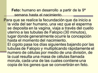 Feto: humano en desarrollo a partir de la 9ª
semana hasta el nacimiento.
Para que se realice la fecundación que da inicio a
la vida del ser humano, una vez que el esperma
se deposita en la vagina, viaja a través del cuello
uterino a las tubulas de Falopio (30 minutos),
lugar donde generalmente ocurre la concepción
hasta el momento del nacimiento.
El cigoto pasa los días siguientes bajando por las
tubulas de Falopio y multiplicando rápidamente el
numero de células por medio de una división, de
la cual resulta una masa de células llamada
morula, cada una de las cuales contiene una
copia de los genes que se convertirán en feto.
 