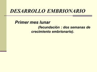 DESARROLLO EMBRIONARIO
Primer mes lunar
(fecundación : dos semanas de
crecimiento embrionario).
 