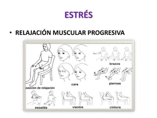 ESTRÉS
• RELAJACIÓN MUSCULAR PROGRESIVA
 