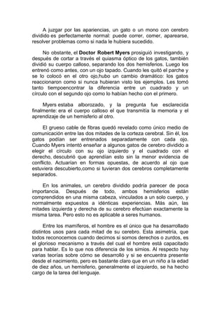 A juzgar por las apariencias, un gato o un mono con cerebro
dividido es perfectamente normal: puede correr, comer, aparearse,
resolver problemas como si nada le hubiera sucedido.
No obstante, el Doctor Robert Myers prosiguió investigando, y
después de cortar a través el quiasma óptico de los gatos, también
dividió su cuerpo calloso, separando los dos hemisferios. Luego los
entrenó como antes, con un ojo tapado. Cuando les quitó el parche y
se lo colocó en el otro ojo,hubo un cambio dramático: los gatos
reaccionaron como si nunca hubieran visto los ejemplos. Les tomó
tanto tiempoencontrar la diferencia entre un cuadrado y un
círculo con el segundo ojo como lo habían hecho con el primero.
Myers estaba alborozado, y la pregunta fue esclarecida
finalmente: era el cuerpo calloso el que transmitía la memoria y el
aprendizaje de un hemisferio al otro.
El grueso cable de fibras quedó revelado como único medio de
comunicación entre las dos mitades de la corteza cerebral. Sin él, los
gatos podían ser entrenados separadamente con cada ojo.
Cuando Myers intentó enseñar a algunos gatos de cerebro dividido a
elegir el círculo con su ojo izquierdo y el cuadrado con el
derecho, descubrió que aprendían esto sin la menor evidencia de
conflicto. Actuarían en formas opuestas, de acuerdo al ojo que
estuviera descubierto,como si tuvieran dos cerebros completamente
separados.
En los animales, un cerebro dividido podría parecer de poca
importancia. Después de todo, ambos hemisferios están
comprendidos en una misma cabeza, vinculados a un solo cuerpo, y
normalmente expuestos a idénticas experiencias. Más aún, las
mitades izquierda y derecha de su cerebro efectúan exactamente la
misma tarea. Pero esto no es aplicable a seres humanos.
Entre los mamíferos, el hombre es el único que ha desarrollado
distintos usos para cada mitad de su cerebro. Esta asimetría, que
todos reconocemos cuando decimos si somos derechos o zurdos, es
el glorioso mecanismo a través del cual el hombre está capacitado
para hablar. Es lo que nos diferencia de los simios. Al respecto hay
varias teorías sobre cómo se desarrolló y si se encuentra presente
desde el nacimiento, pero es bastante claro que en un niño a la edad
de diez años, un hemisferio, generalmente el izquierdo, se ha hecho
cargo de la tarea del lenguaje.

 