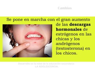 Cambios Se pone en marcha con el gran aumento de las  descargas hormonales  de estrógenos en las chicas y los andrógenos (testosterona) en los chicos. 
