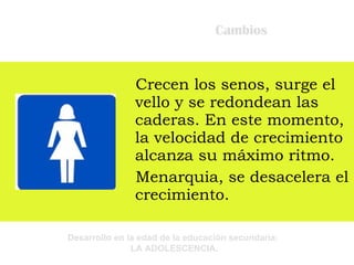 Cambios Crecen los senos, surge el vello y se redondean las caderas. En este momento, la velocidad de crecimiento alcanza su máximo ritmo.  Menarquia, se desacelera el crecimiento. 