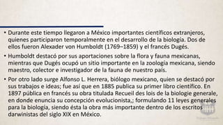 • Durante este tiempo llegaron a México importantes científicos extranjeros,
quienes participaron temporalmente en el desarrollo de la biología. Dos de
ellos fueron Alexader von Humboldt (1769–1859) y el francés Dugés.
• Humboldt destacó por sus aportaciones sobre la flora y fauna mexicanas,
mientras que Dugés ocupó un sitio importante en la zoología mexicana, siendo
maestro, colector e investigador de la fauna de nuestro país.
• Por otro lado surge Alfonso L. Herrera, biólogo mexicano, quien se destacó por
sus trabajos e ideas; fue así que en 1885 publica su primer libro científico. En
1897 pública en francés su obra titulada Recueil des lois de la biologie generale,
en donde enuncia su concepción evolucionista,; formulando 11 leyes generales
para la biología, siendo ésta la obra más importante dentro de los escritos
darwinistas del siglo XIX en México.
 