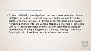 • En la actualidad los investigadores mexicanos enfocados a las ciencias
biológicas se dedican principalmente al estudio taxonómico de las
plantas y animales del país. EL Centro de Investigación Biológica del
Noroeste perteneciente a la Consejo Nacional de Ciencia y Tecnología
CONACYT, apoya proyectos de investigación con enfoque Biológico
reproductivo, Fisiología, Biogenética, Genética, Patología, Nutrición,
Tecnología del cultivo, Bioeconomía y sistemas expertos.
 