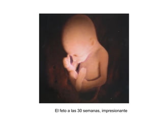 El feto a las 30 semanas, impresionante 