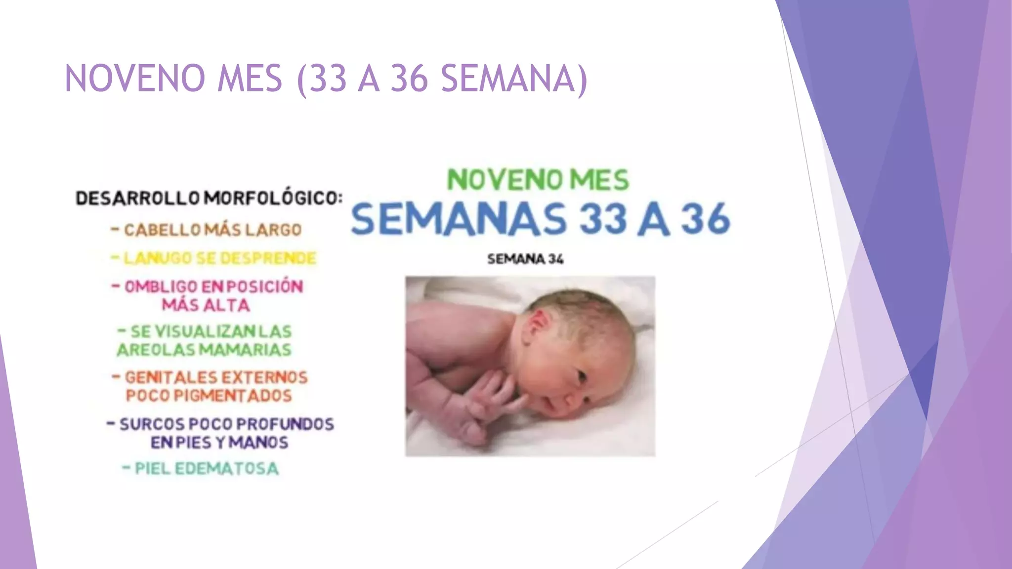 DESARROLLO FETAL DE LA NOVENA SEMANA AL NACIMIENTO.pptx