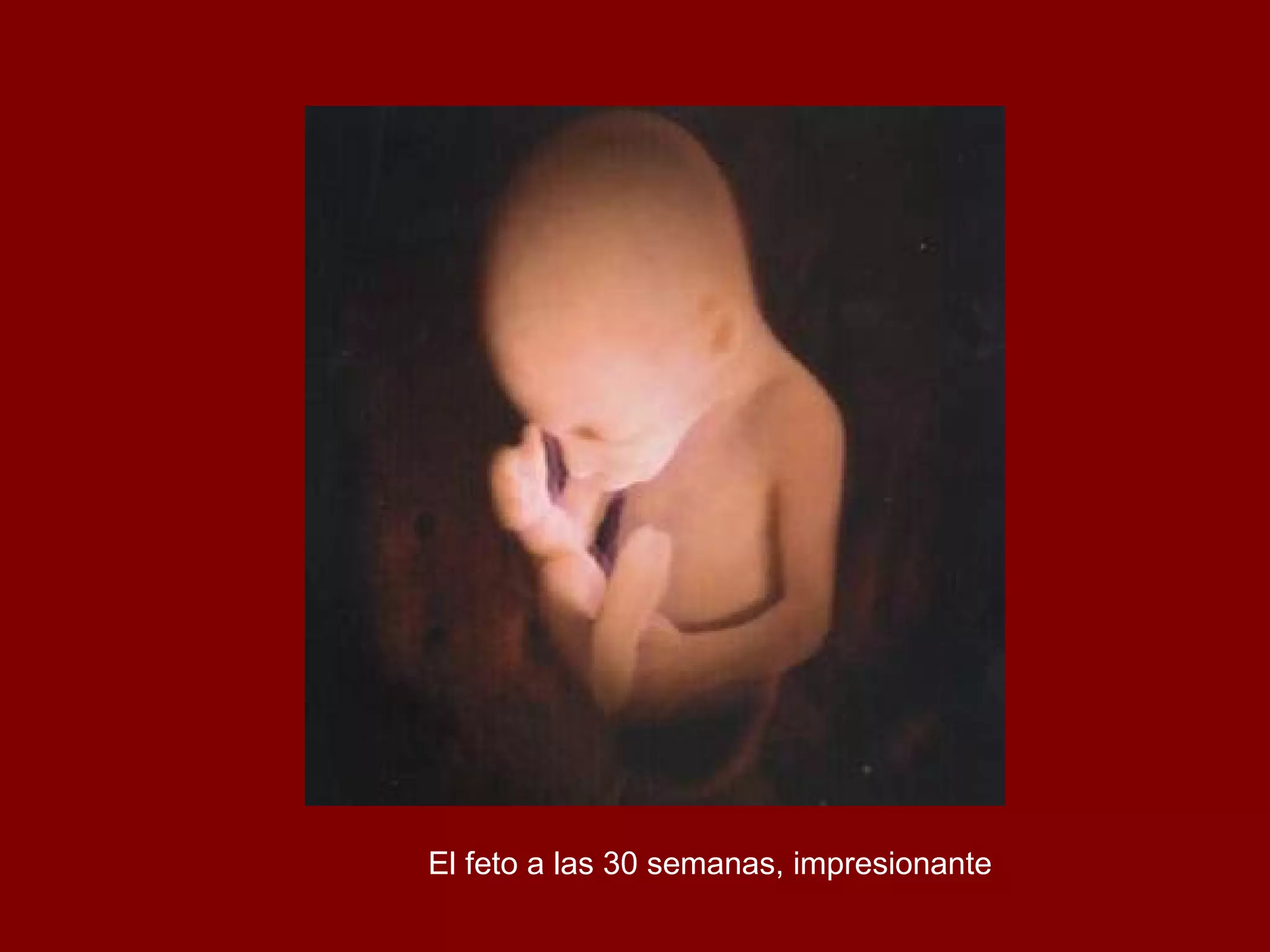 El feto a las 30 semanas, impresionante