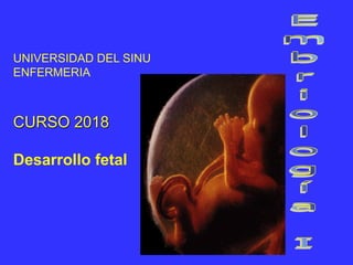 UNIVERSIDAD DEL SINU
ENFERMERIA
CURSO 2018
Desarrollo fetal
 