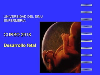 UNIVERSIDAD DEL SINU
ENFERMERIA
CURSO 2018CURSO 2018
Desarrollo fetal
 