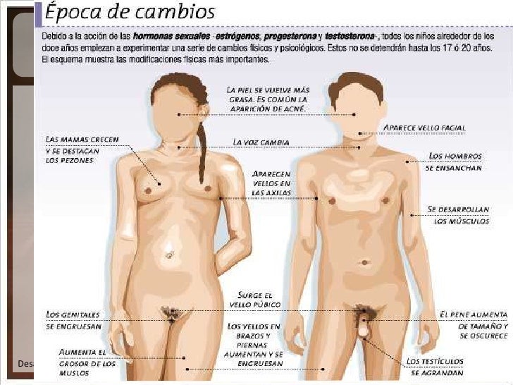 Imagen relacionada