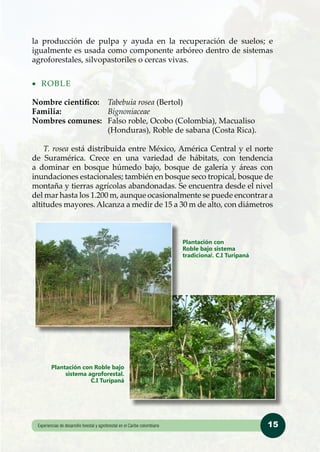 Desarrollo forestal y agroforestal | PDF