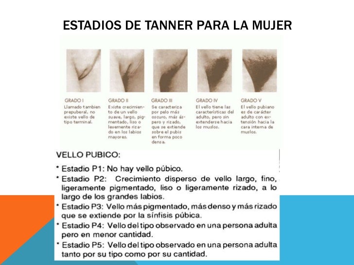 Desarrollo físico en la pubertad