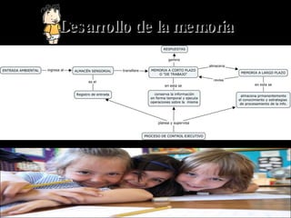 Desarrollo de la memoria 