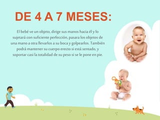 DE 4 A 7 MESES: 
El bebé ve un objeto, dirige sus manos hacia él y lo 
sujetará con suficiente perfección, pasara los objetos de 
una mano a otra llevarlos a su boca y golpearlos. También 
podrá mantener su cuerpo erecto si está sentado, y 
soportar casi la totalidad de su peso si se le pone en pie. 
 