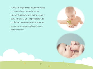 Podrá distinguir una pequeña bolita 
en movimiento sobre la mesa. 
La coordinación entre manos, pies y 
boca funciona ya a la perfección. Es 
probable también que descubra sus 
pies y comience a explorarlos con 
detenimiento. 
 