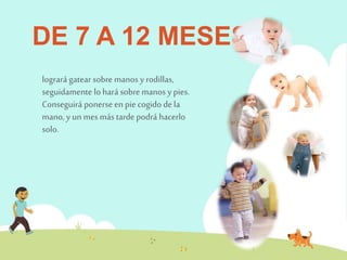 DE 7 A 12 MESES: 
logrará gatear sobre manos y rodillas, 
seguidamente lo hará sobre manos y pies. 
Conseguirá ponerse en pie cogido de la 
mano, y un mes más tarde podrá hacerlo 
solo. 
 