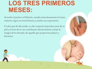 LOS TRES PRIMEROS 
MESES: 
Al recibir el pecho o el biberón, estudia meticulosamente el rostro 
materno, sigue sus movimientos y analiza sus expresiones. 
El calor que de ella recibe, su olor corporal, el peculiar tacto de su 
piel y el tono de su voz contribuyen decisivamente a forjar la 
imagen de lo deseado, de aquello que proporciona placer y 
bienestar. 
 