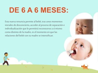 DE 6 A 6 MESES: 
Esta nueva renuncia permite al bebé, tras unos momentos 
iniciales de desconcierto, acceder al proceso de separación e 
individualización que le permitirá reconocerse a sí mismo 
como distinto de la madre, es el momento en que las 
relaciones del bebé con su madre se intensifican. 
 