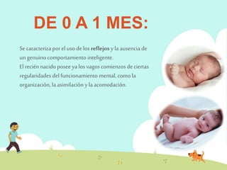 DE 0 A 1 MES: 
Se caracteriza por el uso de los reflejos y la ausencia de 
un genuino comportamiento inteligente. 
El recién nacido posee ya los vagos comienzos de ciertas 
regularidades del funcionamiento mental, como la 
organización, la asimilación y la acomodación. 
 