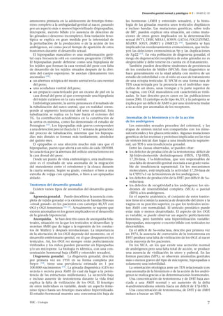 Desarrollo genital normal y patológico  E – 18-601-C-10
amenorrea primaria en la adolescente de fenotipo feme-
nino completo a la ambigüedad genital al nacer, pasando
por un aspecto más o menos hipovirilizado (hipospadias,
micropene, escroto bíﬁdo y/o ausencia de descenso de
las gónadas o descenso incompleto). Esta variación feno-
típica se explica en gran medida por la intensidad de
la perturbación de la producción o de la acción de los
andrógenos, así como por el tiempo de aparición de estos
trastornos durante el desarrollo sexual.
El hipospadias masculino es una malformación geni-
tal cuya frecuencia está en constante progresión (1/400).
El hipospadias puede deﬁnirse como una hipoplasia de
los tejidos que forman la cara ventral del pene con falta
de desarrollo de los tejidos situados después de la divi-
sión del cuerpo esponjoso. Se asocian clásicamente tres
anomalías [10]
:
• un abertura ectópica del meato uretral en la cara ventral
del pene;
• una acodadura ventral del pene;
• un prepucio caracterizado por un exceso de piel en la
cara dorsal del pene al que corresponde una hipoplasia
del tejido cutáneo en la cara ventral.
Embriológicamente, la uretra peneana es el resultado de
la tubulización del surco uretral, que en realidad corres-
ponde al segmento horizontal del seno urogenital. Esta
tubulización se realiza en la base hacia el extremo del
TG. La contribución ectodérmica en la constitución de
la uretra es mínima, como ha demostrado el estudio de
Penington [11]
. Los hipospadias más graves corresponden
a una detención precoz (hacia la 11.a
semana de gestación)
del proceso de tubulización, mientras que los hipospa-
dias más distales se forman más tardíamente, alrededor
del quinto mes.
El epispadias es una afección mucho más rara que el
hipospadias, puesto que afecta a un niño de cada 100 000.
Se caracteriza por la abertura del oriﬁcio uretral interno en
la cara dorsal del pene.
Desde un punto de vista embriológico, esta malforma-
ción es el resultado de una anomalía de la migración
del mesodermo entre el ectodermo y la cloaca durante
la cuarta semana. Según su grado, conduce o bien a una
extroﬁa de vejiga con epispadias, o bien a un epispadias
aislado.
Trastornos del desarrollo gonadal
Existen varios tipos de anomalías del desarrollo gona-
dal.
Agenesia gonadal. Puede describirse la ausencia com-
pleta de tejido gonadal o la existencia de bandas ﬁbrosas
«streak gonade» en los pacientes con cariotipo 46,XY con
OGI y OGE femeninos [12, 13]
. Actualmente, se supone que
existen anomalías en los genes implicados en el desarrollo
de la gónada bipotencial.
Anorquidia. Se han descrito casos de anorquidia bila-
terales, situación en la que los testículos se desarrollan (y
secretan AMH que da lugar a la regresión de los conduc-
tos de Müller) y después involucionan. La importancia
de la afectación de los OGE depende del momento, en el
desarrollo embrionario genital, en el que desaparecen los
testículos. Así, los OGE no siempre están perfectamente
virilizados y los niños pueden presentar un hipospadias
y/o un micropene. La biología es idéntica, con una con-
centración hormonal baja (AMH y esteroides sexuales).
Disgenesia gonadal. La disgenesia gonadal, descrita
por primera vez en 1955 en su forma completa por
Swyer [14]
, tiene una prevalencia estimada en 1 por
100.000 nacimientos [15]
. La gónada disgenésica (GD) no
secreta o secreta poca AMH (lo cual da lugar a la persis-
tencia de las estructuras müllerianas). La secreción baja
e incluso ausente de testosterona durante la vida fetal
explica la falta de virilización de los OGE. El fenotipo
de estos individuos es variable, desde un aspecto feme-
nino típico hasta un fenotipo masculino hipovirilizado.
El estudio hormonal muestra una concentración baja de
las hormonas (AMH y esteroides sexuales), y la histo-
logía de las gónadas muestra unos testículos displásicos
e incluso bandas. Las mutaciones genéticas, sobre todo
de SRY, pueden explicar esta situación, así como muta-
ciones de otros genes implicados en la determinación
sexual (WT1, DHH, NR5A1, SOW9, GATA4, FOG2/ZFPM2,
MAPK9, SOX9, DMRT1 y DMRT2) [16]
. También se han
implicado las reordenamientos cromosómicos, que inclu-
yen las deleciones cromosómicas 9p y las duplicaciones
de Xp22 [17]
. En esta población de disgenesia gonadal, el
riesgo de degeneración neoplásica de estas gónadas no es
despreciable y debe tenerse en cuenta en el tratamiento.
También pueden describirse síndromes de persistencia
de los conductos de Müller (SPCM). Este diagnóstico se
hace generalmente en la edad adulta con motivo de un
estudio de infertilidad o en el niño en caso de tratamiento
de una ectopia testicular. El SPCM es una forma rara de
TDS caracterizada por la presencia en el individuo mas-
culino de un útero, unas trompas y la parte superior de
la vagina, con OGE masculinos con características virili-
zadas. Se han descrito pocos casos en las publicaciones
(unos 200). El cariotipo es de tipo 46,XY, y la patogenia se
explica por un déﬁcit de AMH o por una resistencia tisular
a su acción por anomalías de los receptores.
Anomalías de la biosíntesis y/o de la acción
de los andrógenos
Los esteroides sexuales proceden del colesterol, y las
etapas de síntesis inicial son compartidas con los mine-
ralcorticoides y los glucocorticoides. Algunas mutaciones
genéticas de las enzimas y proteínas implicadas en las vías
de síntesis inicial dan lugar a una insuﬁciencia suprarre-
nal, un TDS y una insuﬁciencia gonadal.
Entre las causas observadas, se pueden citar:
• los defectos de producción de la testosterona: déﬁcit de
3␤-hidroxiesteroide deshidrogenasa (HSD), 17␤-HSD,
17,20-liasa, 17␣-hidroxilasa, que son responsables de
una falta de desarrollo genital asociada a un grado varia-
ble de insuﬁciencia suprarrenal. En los mecanismos
moleculares, está implicada la actividad 17,20-liasa de
la CYP17␣1 en la biosíntesis de los andrógenos;
• los defectos de producción de la DHT por déﬁcit de 5␣-
reductasa;
• los defectos de receptividad a los andrógenos: los sín-
dromes de insensibilidad completa (SICA) o parcial
(SIPA) a los andrógenos.
En el aspecto anatómico, el conjunto de estos trastor-
nos tiene en común la ausencia de desarrollo del útero y la
vagina en su porción superior, ya que los testículos secre-
tan AMH con normalidad. El utrículo prostático puede
estar más o menos desarrollado. El aspecto de los OGE
es variable; se puede observar un aspecto perfectamente
femenino, pero también una hipovirilización variable:
hipospadias, micropene o escroto bíﬁdo con testículos no
descendidos.
En el déﬁcit de 5␣-reductasa, descrito por primera vez
en 1974, la ausencia de conversión de la testosterona en
DHT produce una falta de virilización de los OGE al nacer
en la mayoría de los pacientes.
En los SICA, en los que existe una secreción normal
de andrógenos pero una falta total de acción, se produce
una ausencia de virilización in utero y puberal. En las
formas parciales (SIPA), se observan anomalías genitales
más o menos graves del tipo de micropene, hipospadias o
solamente una infertilidad.
La orientación etiológica ante un TDS relacionado con
una anomalía de la biosíntesis o de la acción de los andró-
genos se realiza gracias a las determinaciones hormonales.
Una concentración de testosterona y de DHT baja aso-
ciada a una AMH normal y un aumento de la delta
4-androstenodiona orienta hacia un déﬁcit de 17␤-HSD.
Una concentración de testosterona, de DHT y de AMH
induce a buscar un SIPA.
EMC - Urología 7
 