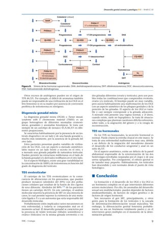 Desarrollo genital normal y patológico  E – 18-601-C-10
DHT
Mineralcorticoides Glucocorticoides Andrógenos
DHA
Colesterol (citosol)
P450c17
17 α-hidroxilasa / 17,20-
Colesterol
(mitocondria)
StAR
Pregnenolona 17-OH-pregnenolona
17-OH-progesterona Δ4 androstenodiona
3β-HSD
17β-HSD
5α
reductasa
3β-HSD
3β-HSD
P450scc
P450c21
21-hidroxilasa
P450c18
11β-hidroxilasa
18-hidroxilasa
18-deshidrogenasa
P450c21
21-hydroxylase
P450c11
11β-hydroxylase
11-desoxicortisol
Testosterona
Cortisol
Corticosterona
Progesterona
DOC
Figura 8. Síntesis de las hormonas suprarrenales. DHA: deshidroepiandrosterona; DHT: dihidrotestosterona; DOC: desoxicorticosterona;
HSD: hidroxiesteroide deshidrogenasa.
Otros excesos de andrógenos pueden ser el origen de
TDS 46,XX. Por ejemplo, el déﬁcit de aromatasa también
puede ser responsable de una virilización de los OGE en el
feto femenino (y en su madre) por ausencia de conversión
periférica de testosterona en estrógeno.
Disgenesia gonadal mixta
La disgenesia gonadal mixta (DGM) o Turner mosaic
syndrome with Y chromosome material (TMSY) es un
grupo heterogéneo de diferentes anomalías cromosó-
micas, gonadales y anomalías fenotípicas. Se trata casi
siempre de un cariotipo de mosaico 45,X/46,XY en dife-
rentes proporciones.
Se caracteriza habitualmente por la presencia de un tes-
tículo disgenético en un lado y de una banda gonadal o,
mucho más raramente, por la ausencia de la gónada del
otro lado.
Estos pacientes presentan grados variables de viriliza-
ción de los OGE, con un aspecto a menudo asimétrico:
labio mayor en un lado frente a escroto en el otro, y
a menudo una gónada palpable de naturaleza testicular.
Pueden persistir las estructuras müllerianas en el lado de
la banda gonadal y/o derivados wolfﬁanos en el otro lado.
En el aspecto biológico, existe una gran variabilidad en
la concentración de AMH y de testosterona en función del
grado de disgenesia del testículo.
TDS ovotesticular
El cariotipo de los TDS ovotesticulares es la conse-
cuencia de alteraciones en los gonosomas, que pueden
producir mosaicos (alrededor del 20%) con dos pobla-
ciones celulares que resultan de la fusión de dos cigotos
de sexo diferente. Alrededor del 80% [19]
de los pacientes
tienen un cariotipo 46,XX. En este cariotipo, el análisis
molecular muestra la presencia de SRY en una minoría de
casos, lo cual permite suponer la existencia de una muta-
ción ligada a X o a un autosoma que sería responsable del
desarrollo testicular.
Probablemente estén implicados varios mecanismos en
esta enfermedad, y todavía se comprenden mal en el
momento actual. El desarrollo gonadal se caracteriza por
la presencia de tejido testicular (túbulos seminíferos) y
ovárico (folículos) en la misma gónada (ovotestis) o en
dos gónadas diferentes (ovario y testículo), pero son posi-
bles todas las combinaciones que comprenden ovotestis,
ovario y/o testículo. El fenotipo puede ser muy variable,
pero asocia habitualmente una malformación de los OGE
con un aspecto asimétrico de los pliegues genitales y de la
posición de las gónadas. El aspecto de los OGI es varia-
ble y casi siempre corresponde a la gónada adyacente.
A menudo está presente una vagina normal, y el útero,
cuando existe, suele ser hipoplásico. Se trata de situacio-
nes complejas que plantean cuestiones difíciles referentes,
sobre todo, a la asignación del género y a la cirugía de
reconstrucción.
TDS no hormonales
En los TDS no hormonales, la secreción hormonal es
normal. Puede citarse la extroﬁa cloacal en este marco. Se
trata de una enfermedad malformativa muy rara, debida
a un defecto de la migración del mesodermo durante
el desarrollo de los conductos urogenital y anal en un
niño 46,XY.
En el aspecto anatómico, existe un defecto de la pared
abdominal responsable de la exteriorización de las dos
hemivejigas extroﬁadas (separadas por el ciego) y de una
uretra epispadias. Por consiguiente, el esbozo genital es
de tamaño muy pequeño. Habitualmente, los testículos
han descendido y son normales desde el punto de vista
histológico.
 Conclusión
La formación y el desarrollo de los OGE y los OGI es
un fenómeno complejo en el que intervienen diferentes
actores moleculares. Por ello, las anomalías del desarrollo
sexual son multifactoriales: pueden depender de factores
medioambientales, de factores de origen genético o de
factores de origen hormonal.
Son necesarios el gen SRY, principalmente, y otros
genes para la formación de los testículos y la cascada
de determinación-diferenciación sexual masculina. Sin
embargo, la diferenciación genital femenina probable-
mente no sea un fenómeno totalmente pasivo y en él
intervienen genes múltiples en el momento de la deter-
minación gonadal.
EMC - Urología 9
 