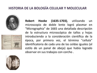 HISTORIA DE LA BOLOGÍA CELULAR Y MOLECULAR


        Robert Hooke (1635-1703), utilizando un
        microscopio de doble lente logró plasmar en
        "Micrographia" de 1665 una detallada descripción
        de la estructura microscópica de tallos y hojas
        introduciendo a la consideración científica de la
        época, por primera vez, el término "cellula"
        identificatoria de cada una de las celdas iguales (al
        estilo de un panal de abeja) que había logrado
        observar en sus trabajos con corcho .
 